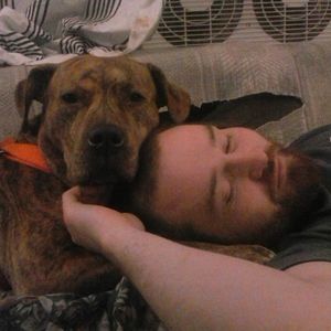 Meet your Posher, Codyerin